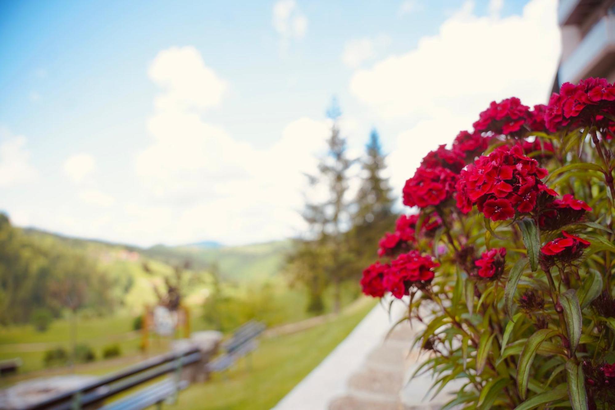 Zlatarska Kruna Nova Varos Ngoại thất bức ảnh